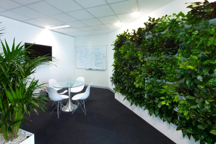 Plant wall & planter box in meeting area